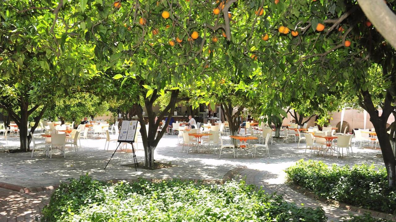 Noxinn Club Hotel Konaklı Extérieur photo